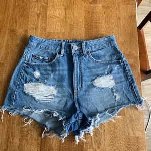 Festival Shorts